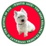 Westie Jack profil fotoğrafı
