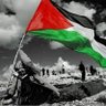 Profilbild von Eslam Mohamed