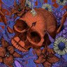 Фото профиля Robert MacGregor