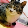 寂寞和弦 profil fotoğrafı