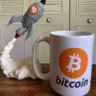 AlirezA Crypto🎉💥's profile picture