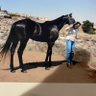 Фото профиля Darkhorse