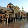 Фото профиля wael