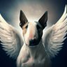 pipo's profile picture