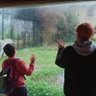 しょーここ。 的头像