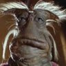 Andrew S's profile picture