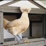 P A Barnhardt profil fotoğrafı