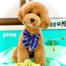 かめまさ profil fotoğrafı