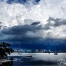 Sarasota Bay's profile picture