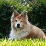 Profilbild von Texan55