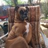 Honeydrip's profile picture