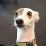 Mekan Me Nnôm's profile picture