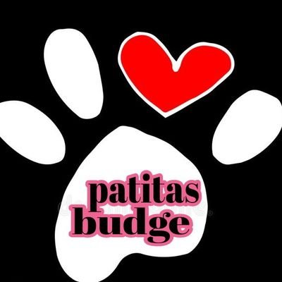 Patitas_ Budge lomasdezamora's profile picture