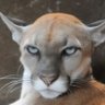 Thought criminal's profile picture