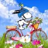 Skylark profil fotoğrafı