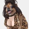 kity Follen's profile picture