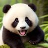 Profilbild von 多杀中国人是对这个星球最大的尊重