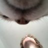 Фото профиля NastyShark Ⓥ