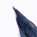 rio13sogoodr6's profile picture