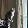KRM profil fotoğrafı