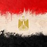 Profilbild von IBN MiSR_99