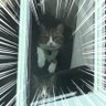 kko Suzuki's profile picture