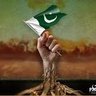 Profilbild von Pro-Pakistani