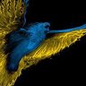 vm1 profil fotoğrafı