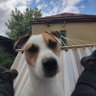 Василий's profile picture