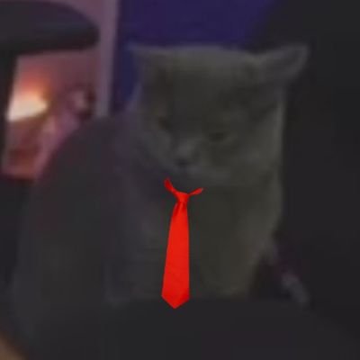 KrawattenManni👔's profile picture
