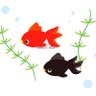 Profilbild von 金魚屋古書店