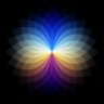 Profilbild von The Electric Word