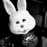The White Rabbit profil fotoğrafı