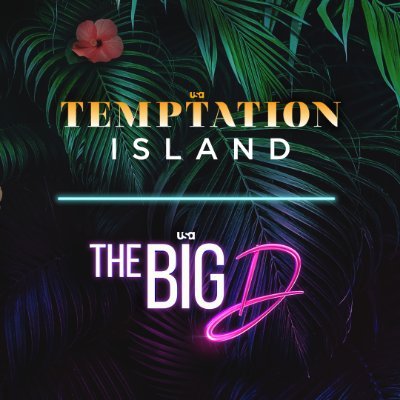 TemptationTV's profile picture