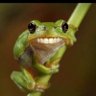Profilbild von Joe