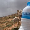 Profilbild von ابو فالح العويمري ءء