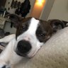 Profilbild von JayB
