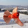 Фото профиля Vonnie