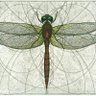 AuditTheFed's profile picture
