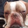 Ashtonjook profil fotoğrafı