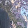👑ことは🥞's profile picture