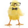 ChickenNugget's profile picture