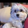 Lucy b's profile picture