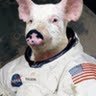 Фото профиля Michael Warthog