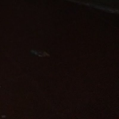 CalienteBoyy's profile picture