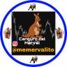 Memervalito 的头像