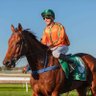 Tim Donnelly Racing profil fotoğrafı