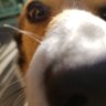 ともすけ profil fotoğrafı