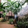 URU_KISHUMUNDU's profile picture