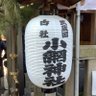 ののこナコナコ's profile picture